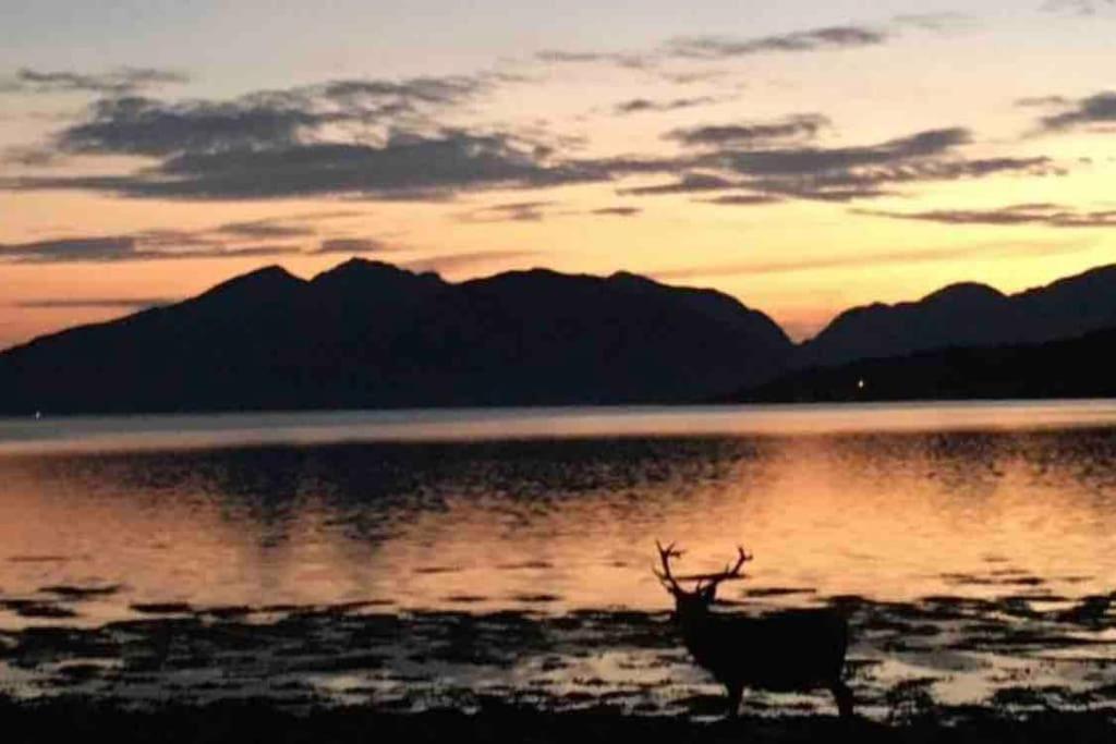 The Fox'S Den, Luxury Cosy Mini Lodge, Highlands North Ballachulish Exterior photo